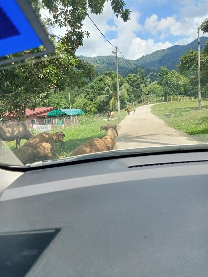 Aliza Scawa Homestay Kuala Pilah Exteriör bild